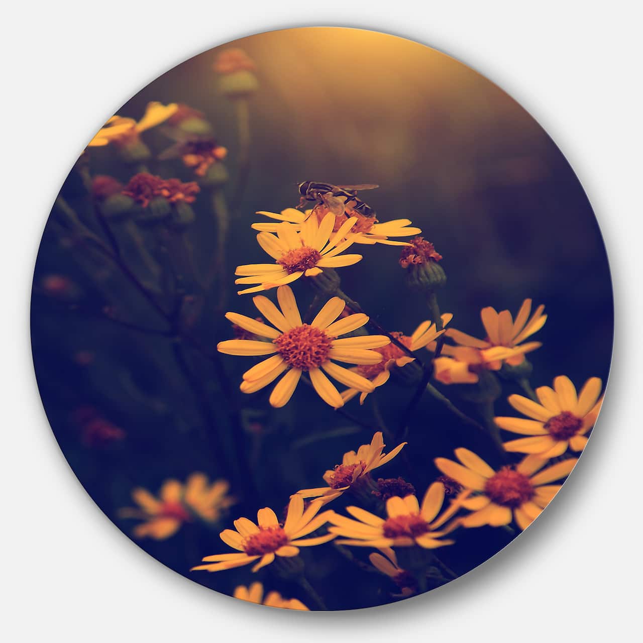 Designart - Vintage White Wild Flowers and Bee' Large Floral Metal Circle Wall Art